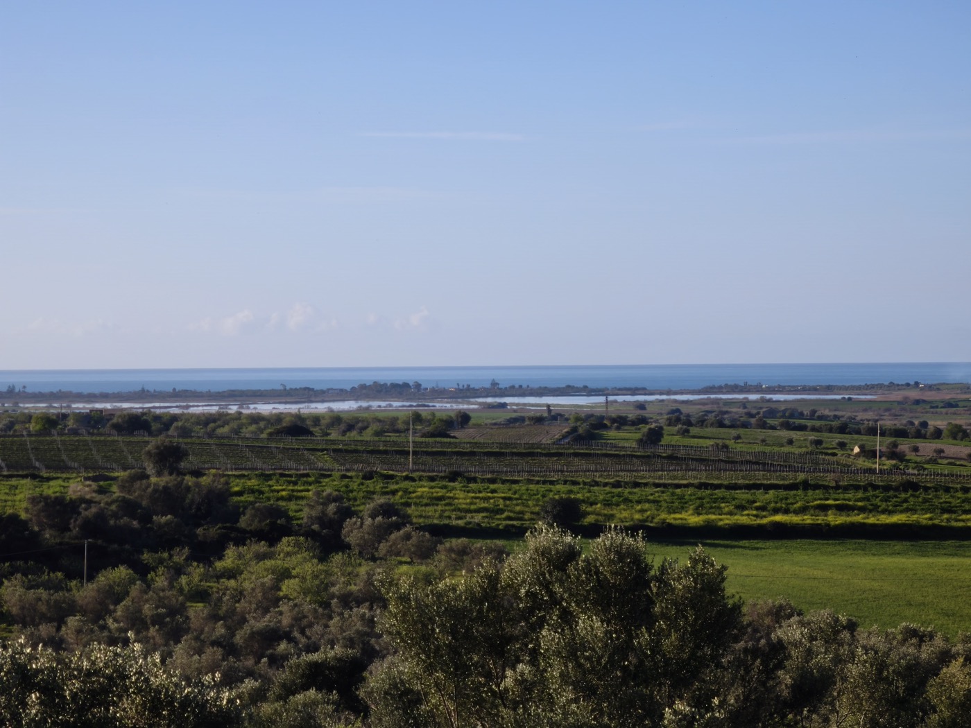Vista panoramica sugli uliveti e i vigneti verso il mare vicino a Noto