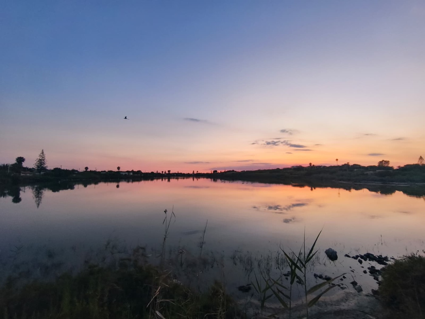 Coucher de soleil sur les salines pres de Vendicari, un oiseau en vol au-dessus de l'eau immobile